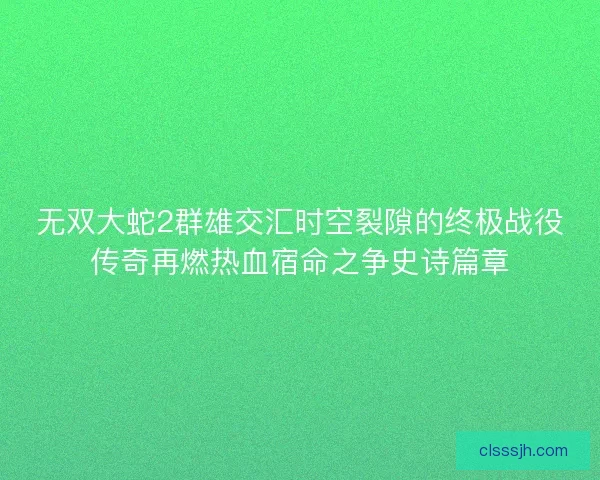 无双大蛇2群雄交汇时空裂隙的终极战役传奇再燃热血宿命之争史诗篇章