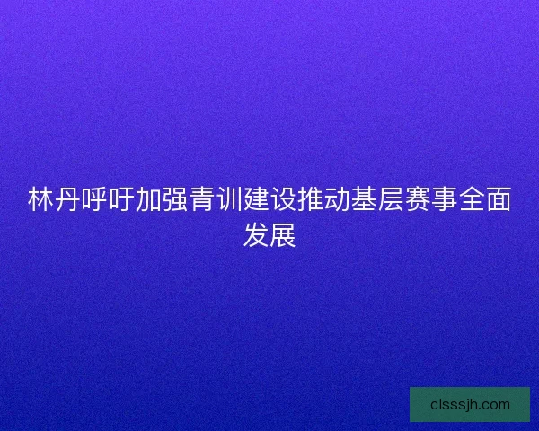 林丹呼吁加强青训建设推动基层赛事全面发展